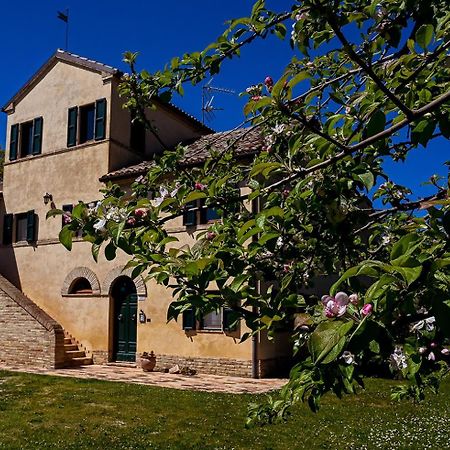 I Ciliegi Bed and Breakfast Osimo Exteriör bild