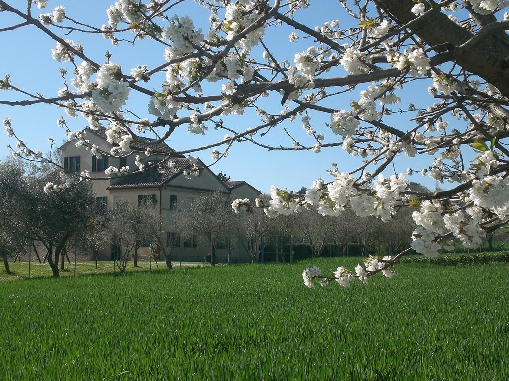 I Ciliegi Bed and Breakfast Osimo Exteriör bild