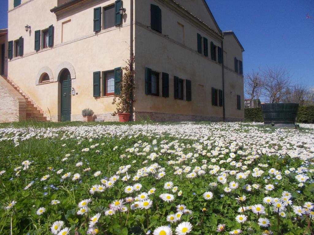 I Ciliegi Bed and Breakfast Osimo Exteriör bild