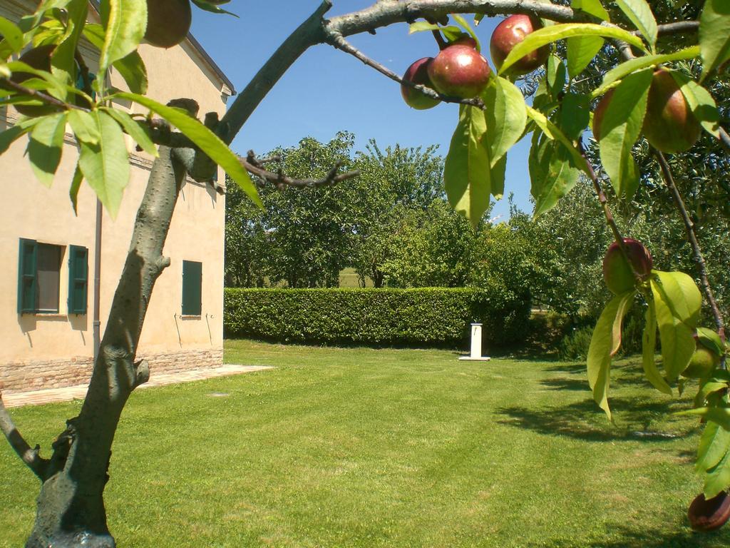 I Ciliegi Bed and Breakfast Osimo Exteriör bild