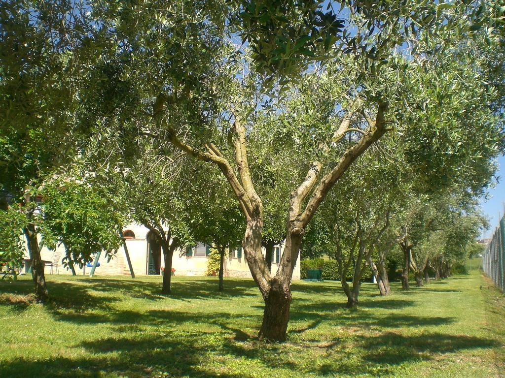 I Ciliegi Bed and Breakfast Osimo Exteriör bild
