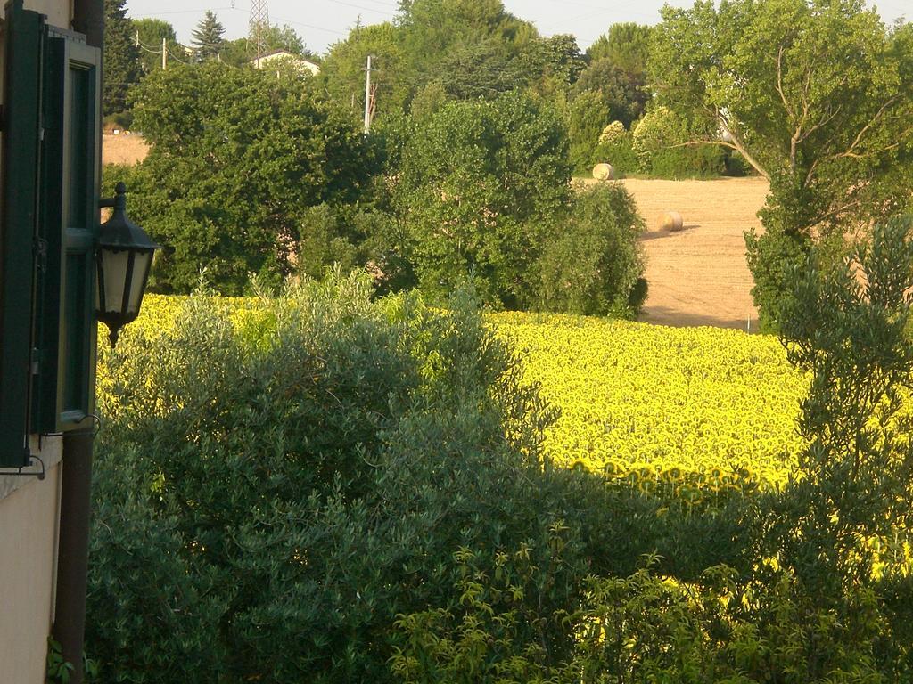 I Ciliegi Bed and Breakfast Osimo Exteriör bild