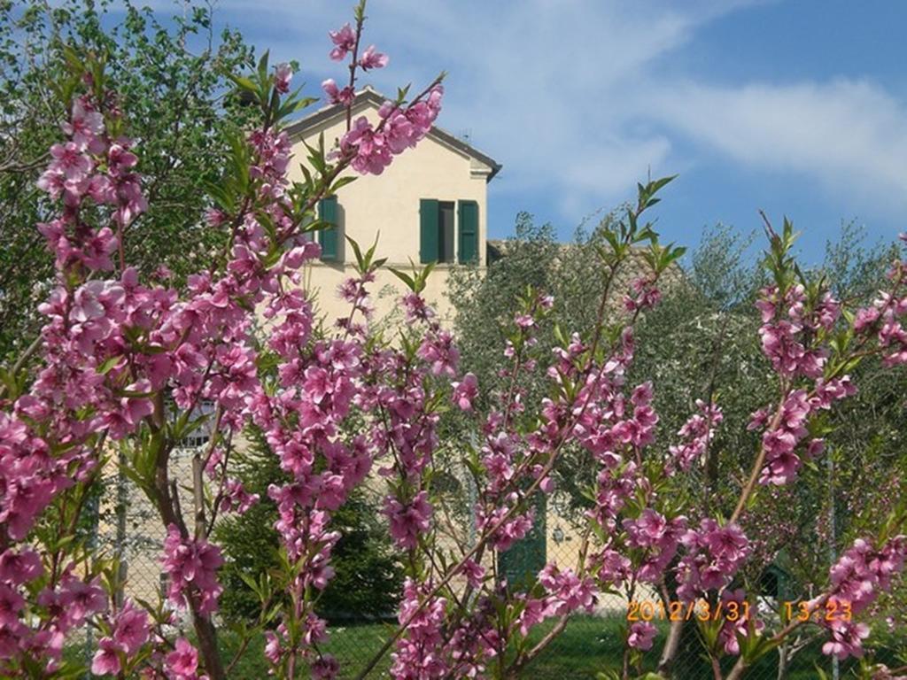 I Ciliegi Bed and Breakfast Osimo Exteriör bild