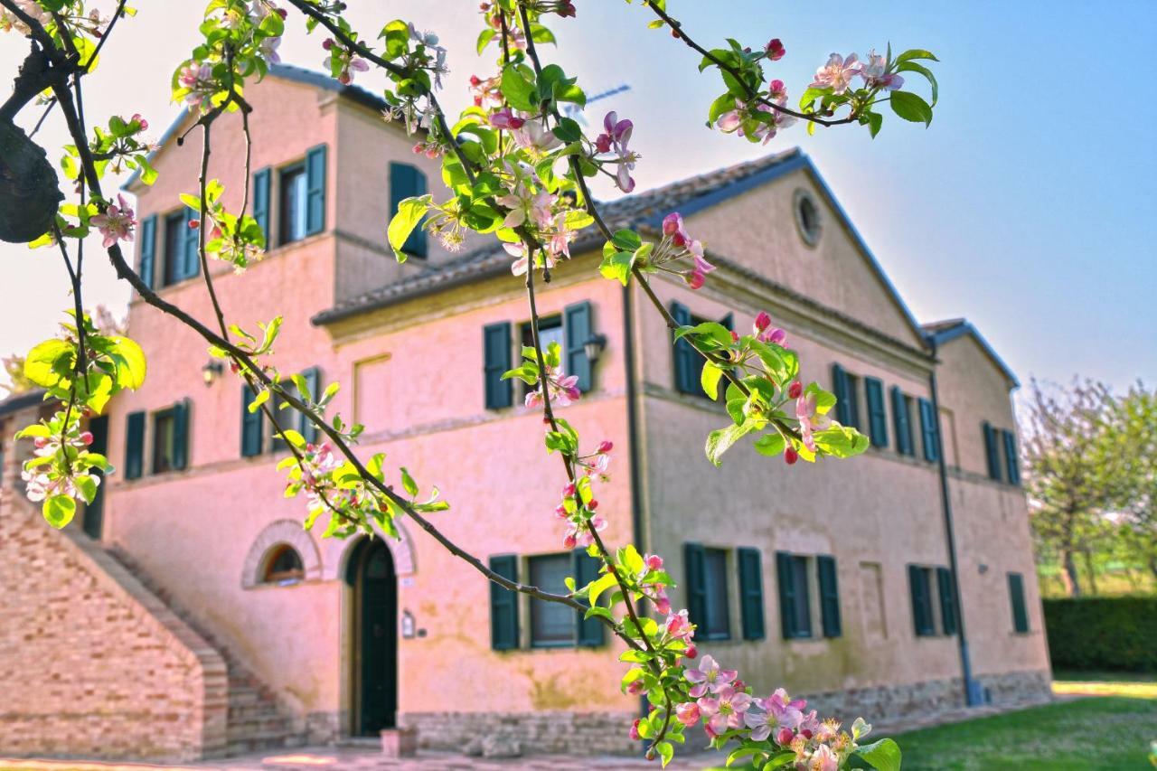 I Ciliegi Bed and Breakfast Osimo Exteriör bild