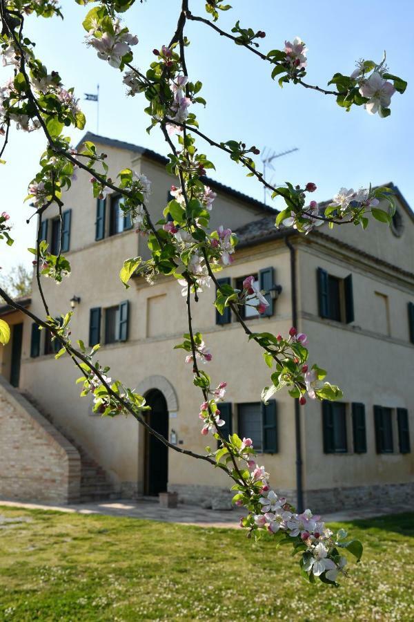 I Ciliegi Bed and Breakfast Osimo Exteriör bild