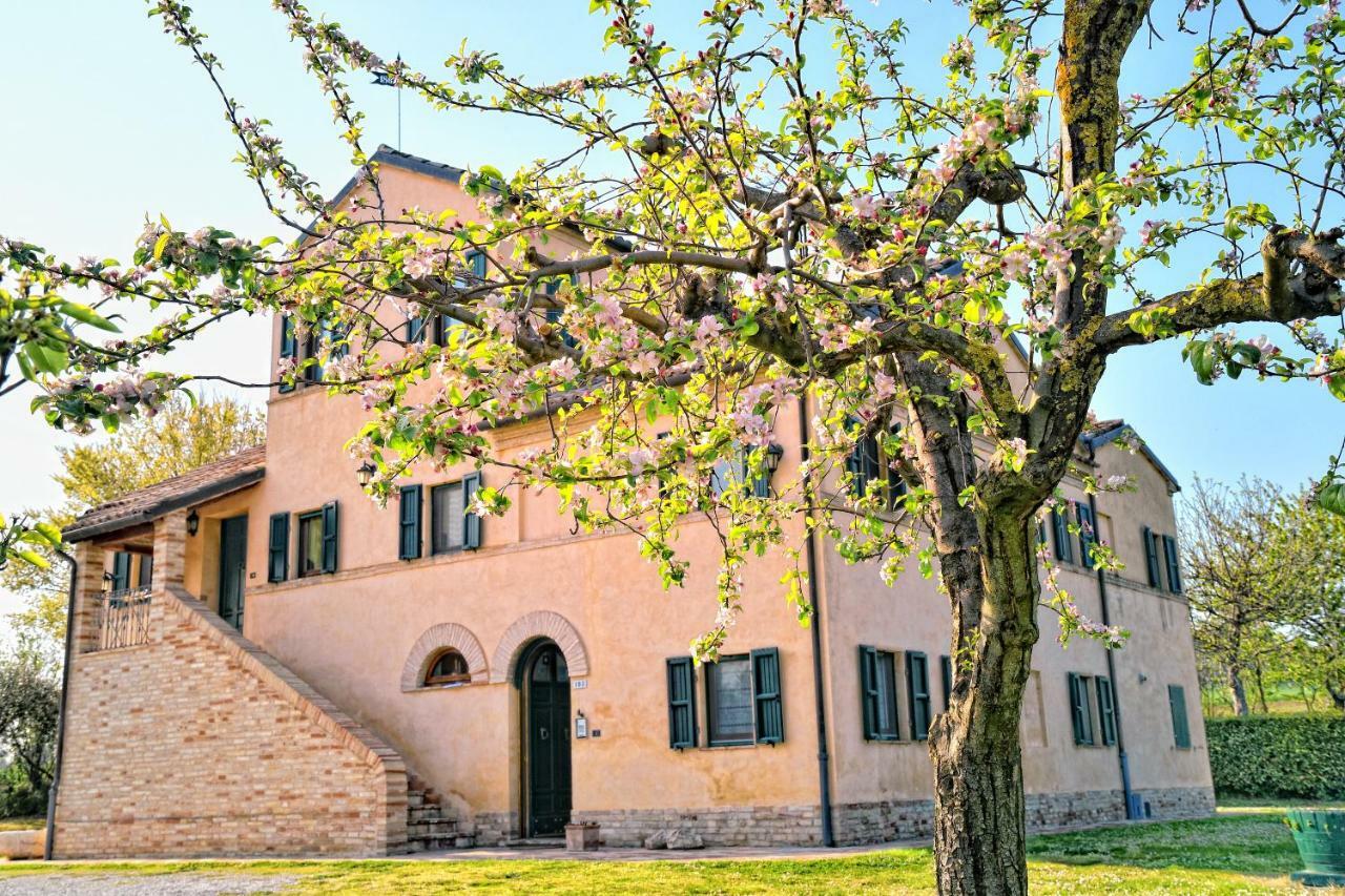 I Ciliegi Bed and Breakfast Osimo Exteriör bild