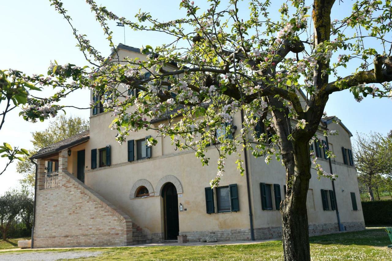 I Ciliegi Bed and Breakfast Osimo Exteriör bild