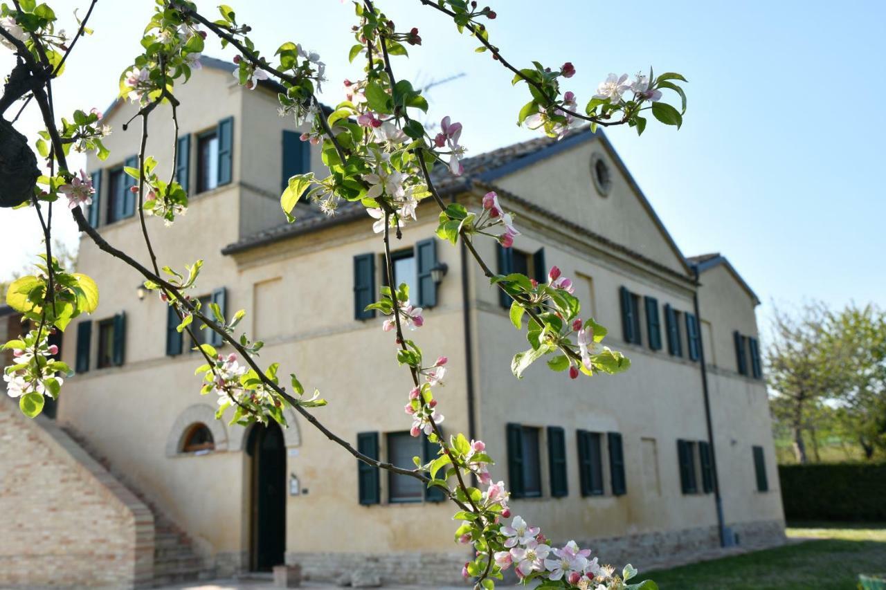 I Ciliegi Bed and Breakfast Osimo Exteriör bild